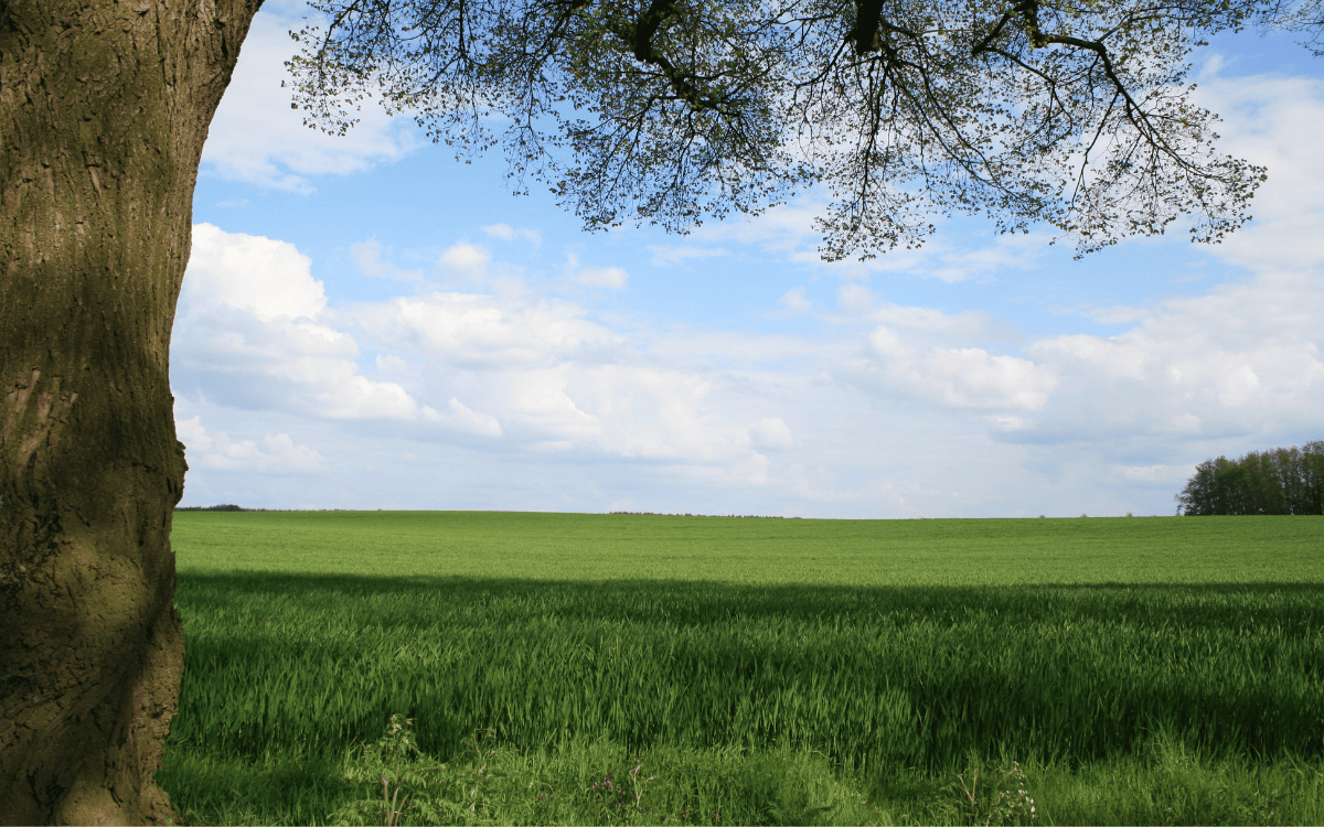 First-Time Guide to Buying Land in Idaho